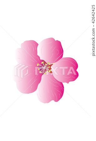 Prefecture Flower Simple Tochigi Yashiro Azalea Prefecture Flower Simple Tochigi Yashiro Azalea 42642425