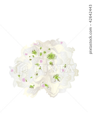 Prefectural Flower Simple Fukushima Nemoto Rhododendron 42642443