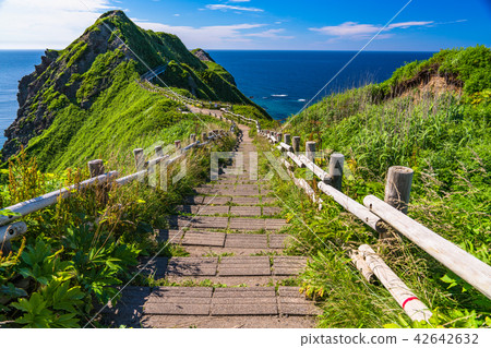 "Hokkaido" God Rising Cape - Natural Landscape 42642632