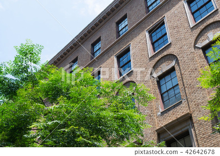 Three bridge bridge cross-faced cotton hall 42642678