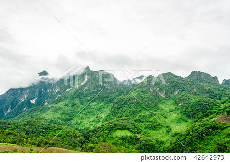 Doi Luang Chiang Dao with rain fog Doi Luang Chiang Dao with rain fog 42642973