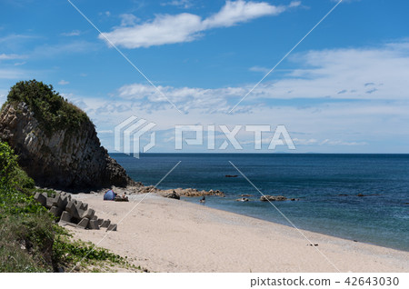 海浴新潟縣的看法 海浴新潟縣的看法 42643030