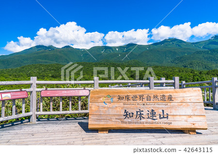 “北海道”夏天知床·知床山脈和樹道 42643115