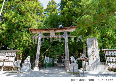 Kumano Honen Palace Taisei（八月和歌山縣陽光） 42643566