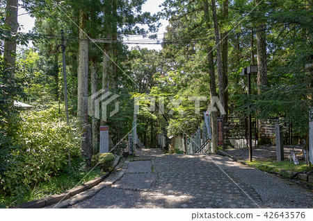 Kumano Honen Palace Taisei (August Wakayama Prefecture Sunny) Kumano Honen Palace Taisei (August Wakayama Prefecture Sunny) 42643576