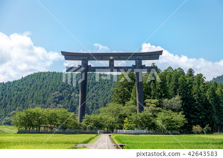 Kumano Honen Palace Taisei（八月和歌山縣陽光） 42643583