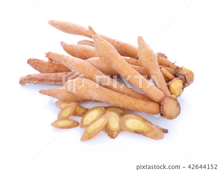 Fingerroot, Boesenbergia on white background Fingerroot, Boesenbergia on white background 42644152