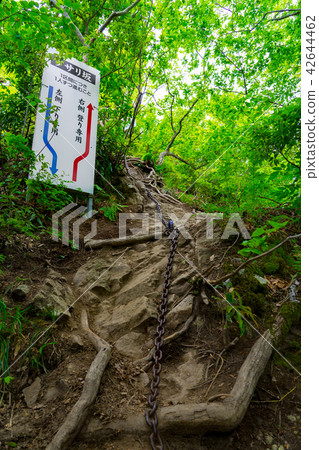 通向三國山和淀堂的道路（鳥取縣東北市三朝町三國町三國）*圖片位於註釋部分 42644462