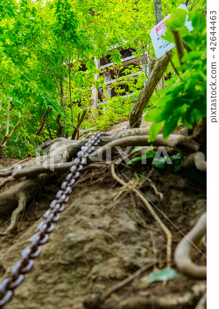 通向三國山和淀堂的道路（鳥取縣東北市三朝町三國町三國）*圖片位於註釋部分 42644463