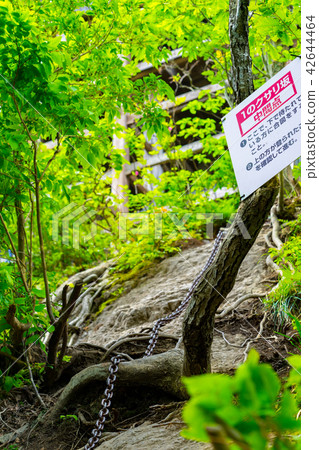 通向三國山和淀堂的道路（鳥取縣東北市三朝町三國町三國）*圖片位於註釋部分 42644464