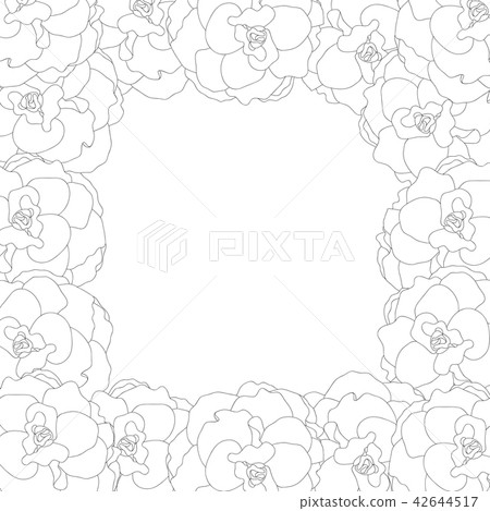 Begonia Flower, Picotee Outline Border. 42644517