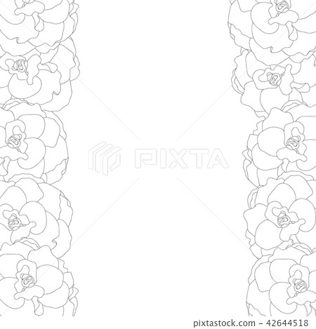Begonia Flower, Picotee Outline Border 42644518