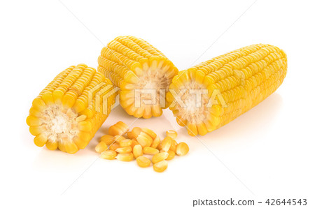 corn isolated on white background. corn isolated on white background. 42644543