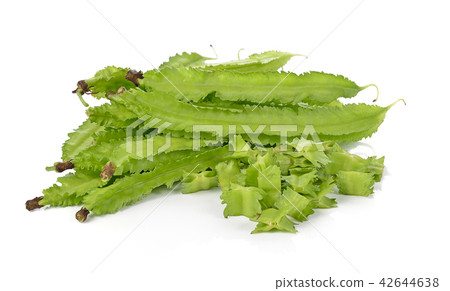 winged bean on white background 42644638