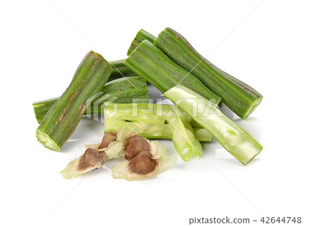 Moringa on white background. Moringa on white background. 42644748