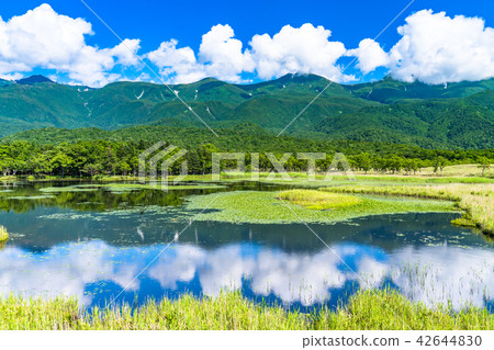 “北海道”夏天知床·知床山和知床湖 “北海道”夏天知床·知床山和知床湖 42644830