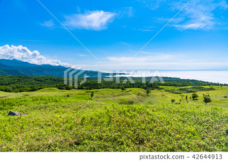 "Hokkaido" Summer Shiretoko "Hokkaido" Summer Shiretoko 42644913