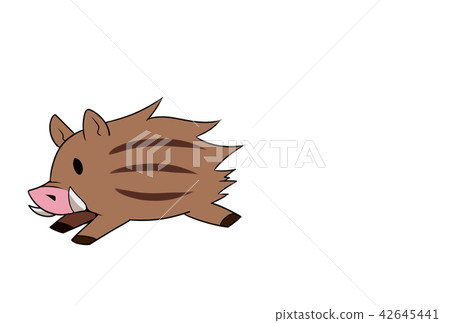Running wild boar 42645441