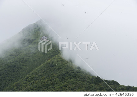 Daisen Utopia · Dragonfly season Daisen Utopia · Dragonfly season 42646356