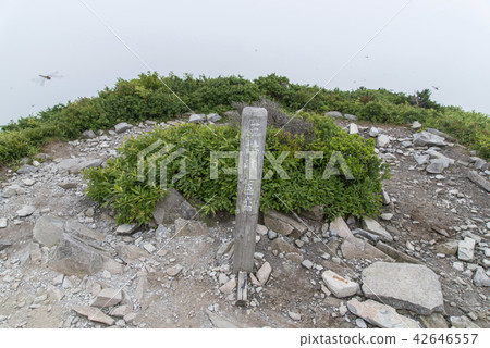 Mikumine峰會(大山) Mikumine峰會(大山) 42646557