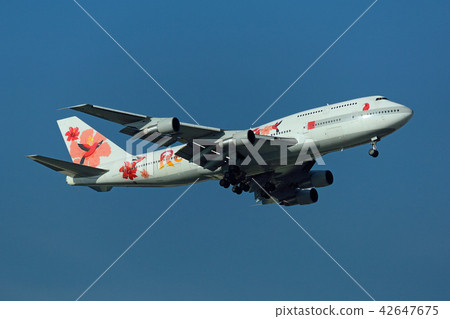 羽田機場著陸進場機，大田區，東京 42647675