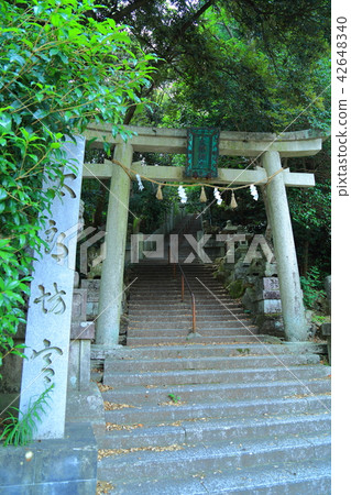 太郎男孩 42648340