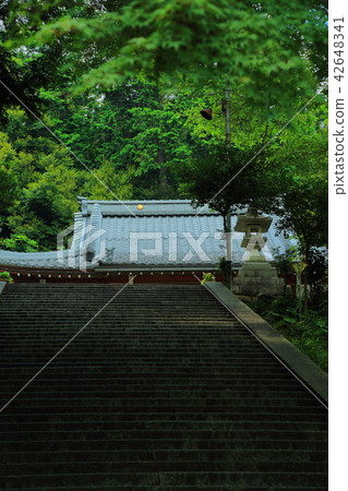 太郎男孩 42648341