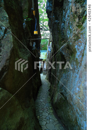 太郎男孩 42648346