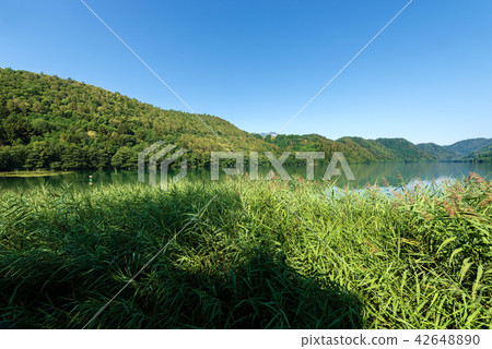 Lake of Levico - Trentino Alto Adige - Italy Lake of Levico - Trentino Alto Adige - Italy 42648890