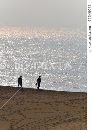 Sand dune wanderer 42649021