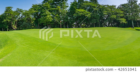 Golf course Golf course Putting green Golf course Golf course Putting green 42651041