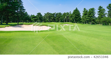 Golf course Golf course Fairway Golf course Golf course Fairway 42651046