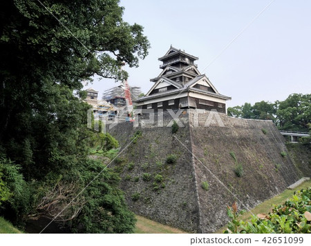 Kumamoto Castle during restoration work (Kumamoto City) 42651099