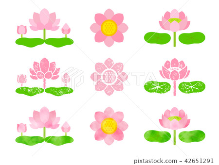 Lotus Hanko & Watercolor 42651291