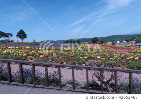 Beautiful Flowers Lyrics Hill Beautiful Flowers Lyrics Hill 42652465
