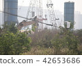 蓋建築物鳥飛走樹死掉 42653686