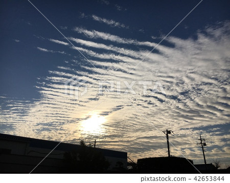 Rib cloud Rib cloud 42653844