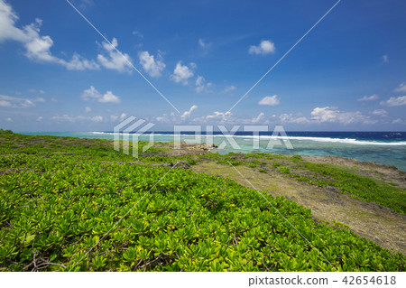 天鵝海角02 天鵝海角02 42654618