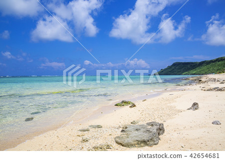 Shingo Castle 25 Shingo Castle 25 42654681