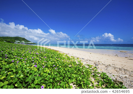 Shingoken Coast 08 42654695