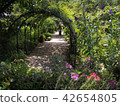 Flower garden 42654805