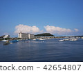 Summer of port town 42654807