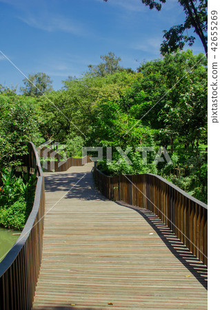 wonderful walkway in the park wonderful walkway in the park 42655269