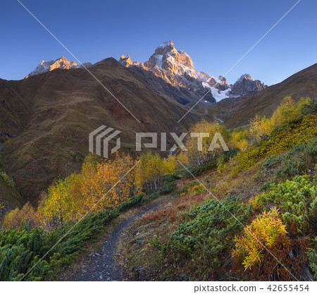 Autumn landscape in the mountains Autumn landscape in the mountains 42655454