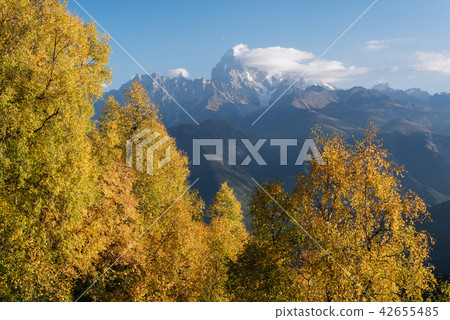 Autumn Landscape with birch forest and mountain range Autumn Landscape with birch forest and mountain range 42655485
