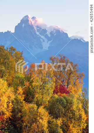 Autumn Landscape with birch forest and mountain range Autumn Landscape with birch forest and mountain range 42655494