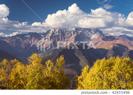 Autumn Landscape with a view of the top of the mountain Autumn Landscape with a view of the top of the mountain 42655496