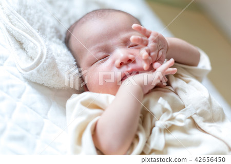Newborn Photo 42656450