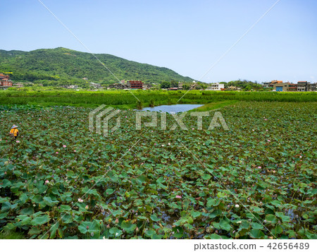 countryside in Taiwan countryside in Taiwan 42656489