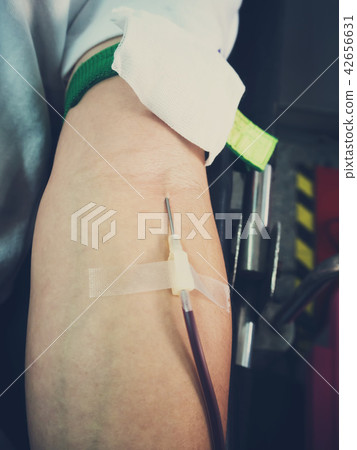 Blood Donors Making Donation In Hospital 42656631